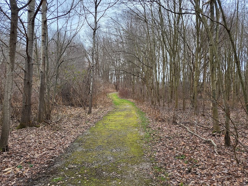 Burton Wetlands Nature Preserve - Burton, OH