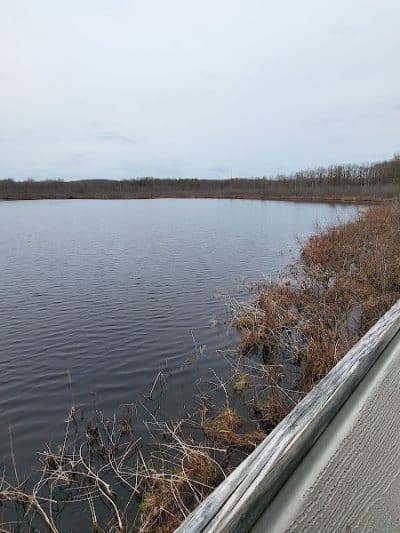 Burton Wetlands Nature Preserve - Burton, OH