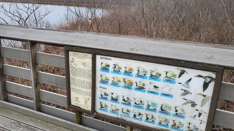 Burton Wetlands Nature Preserve - Burton, OH