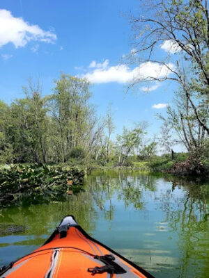 Eldon Russell Park