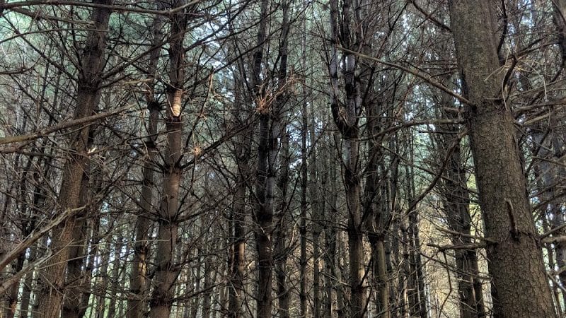 Eldon Russell Park - Burton, OH