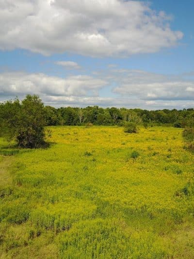 Eldon Russell Park - Burton, OH