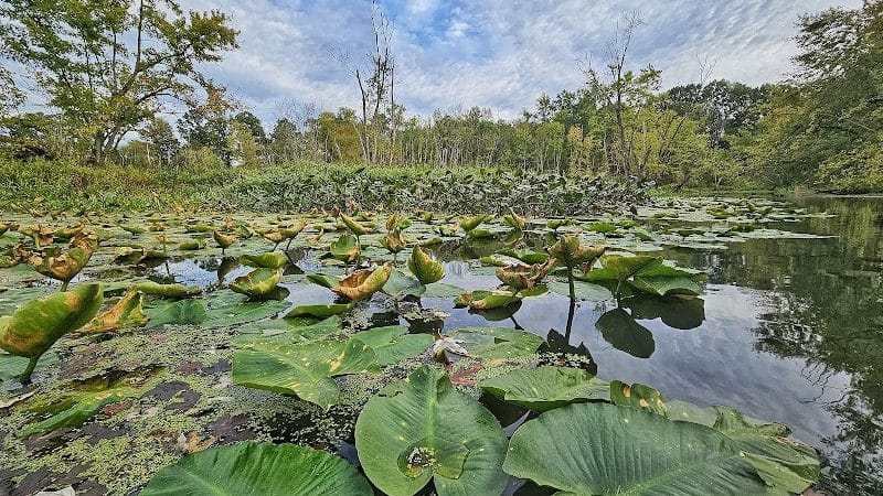 Eldon Russell Park - Burton, OH