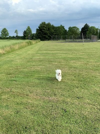 Overlook Park - Burton, OH