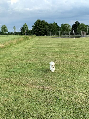 Overlook Park - Burton, OH