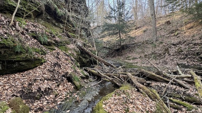 Welton's Gorge Preserve - Burton, OH