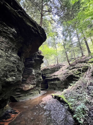 Welton's Gorge Preserve