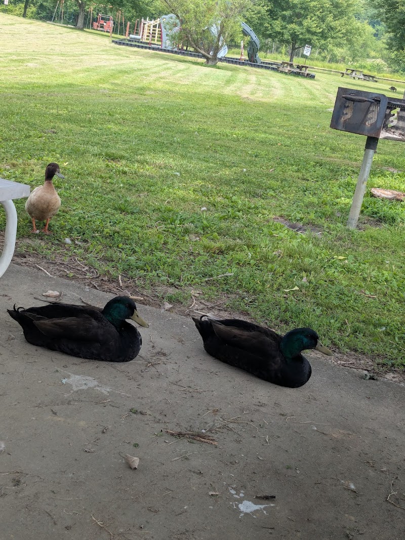 Jackson Park - Byesville, OH