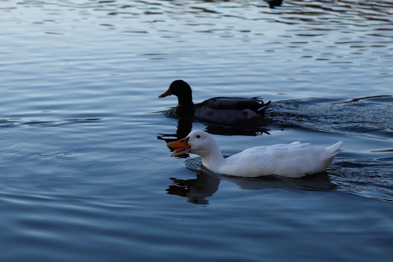 Jackson Park - Byesville, OH