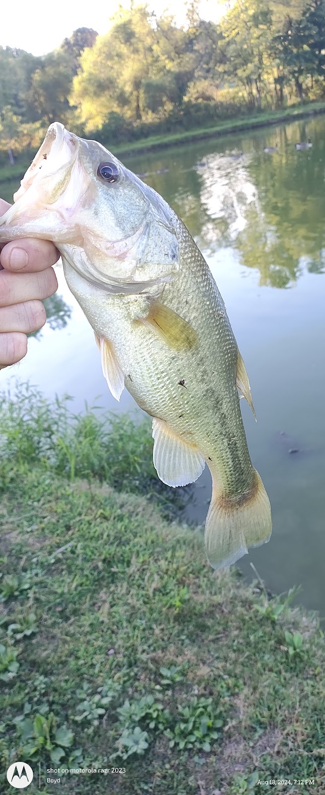 Jackson Park - Byesville, OH