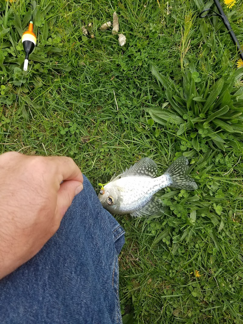 Jackson Park - Byesville, OH