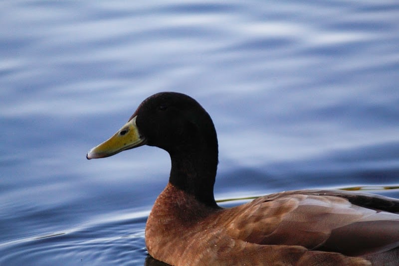 Jackson Park - Byesville, OH