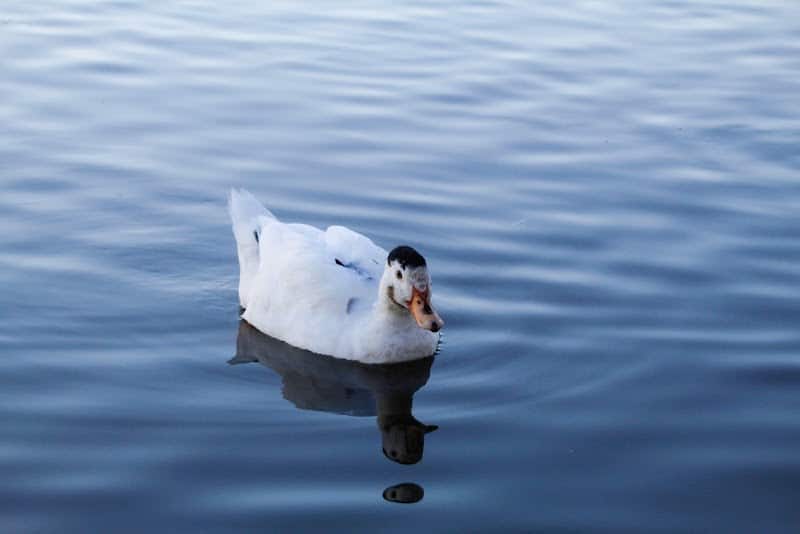 Jackson Park - Byesville, OH