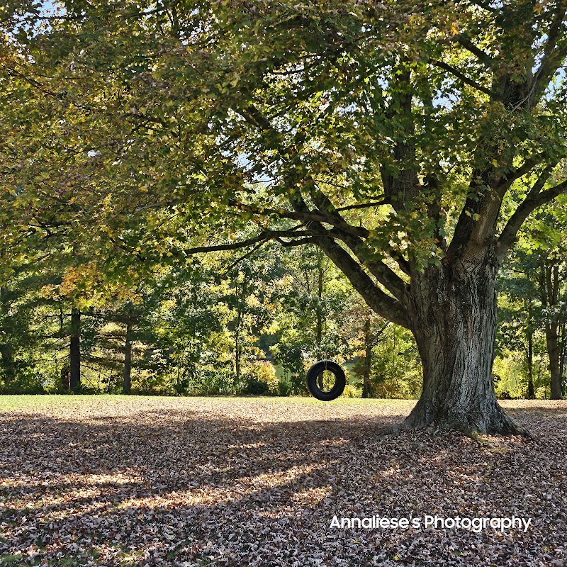 Caldwell Lake - Caldwell, OH