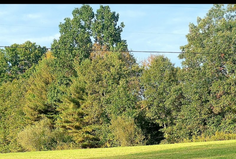 Caldwell Lake - Caldwell, OH