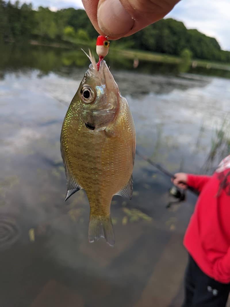 Wolf Run State Park - Caldwell, OH