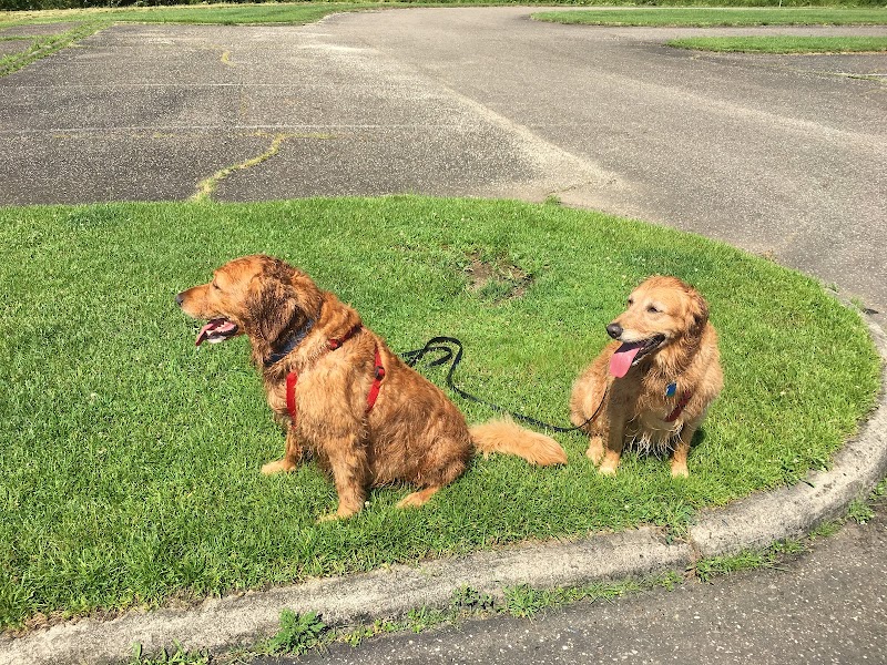 Dog Park - Cambridge, OH
