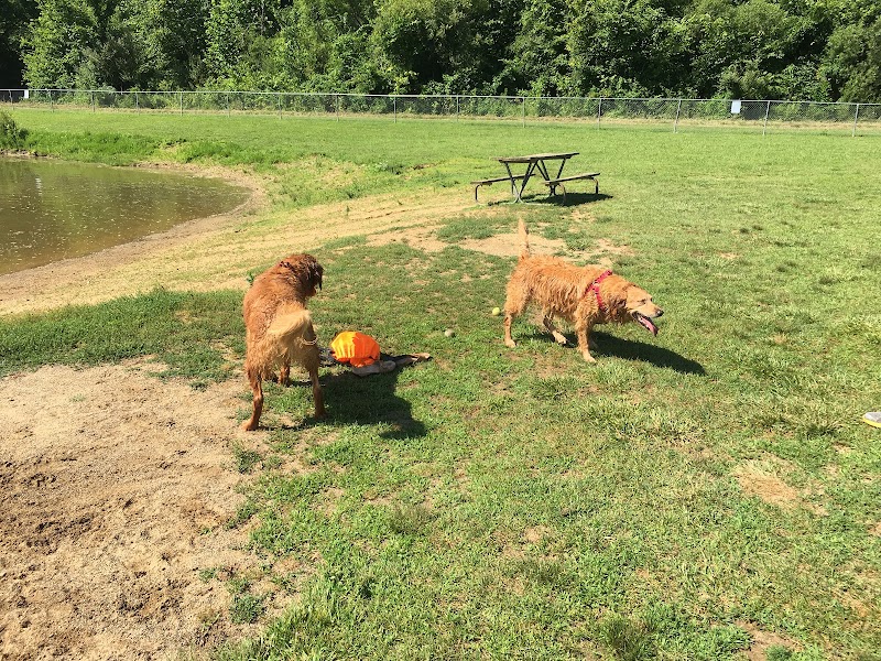 Dog Park - Cambridge, OH