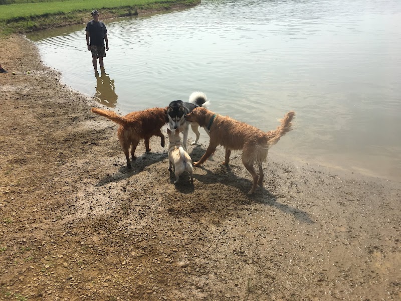 Dog Park - Cambridge, OH