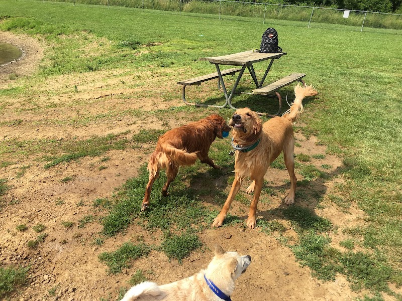 Dog Park - Cambridge, OH