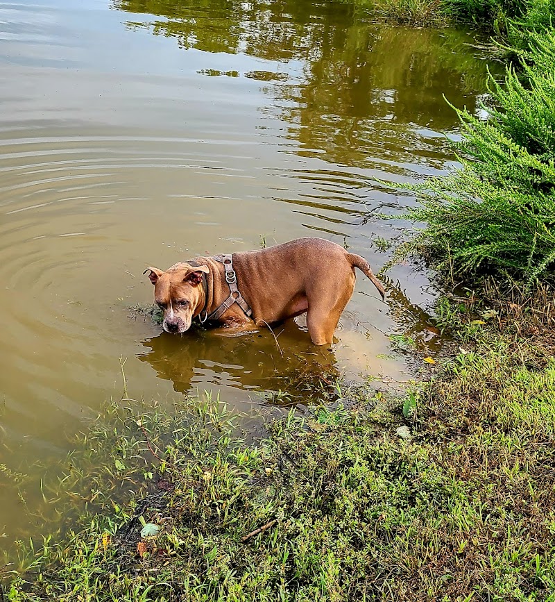 Dog Park - Cambridge, OH