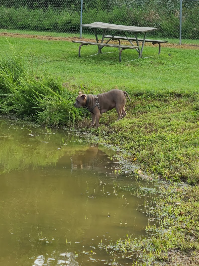 Dog Park - Cambridge, OH