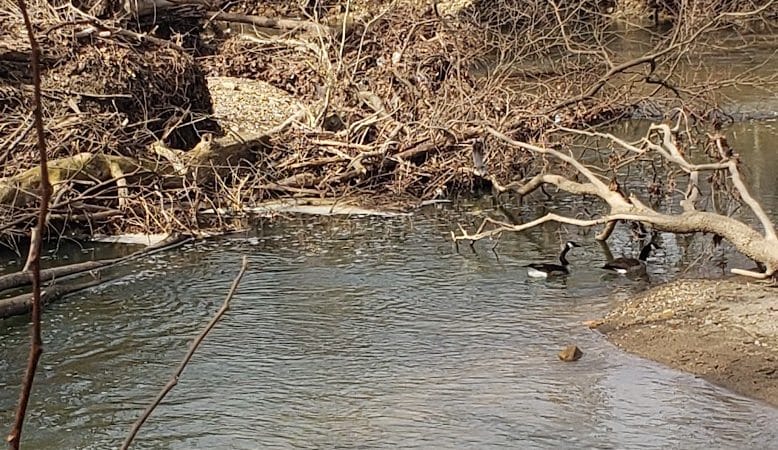 Portman Park - Canal Winchester, OH