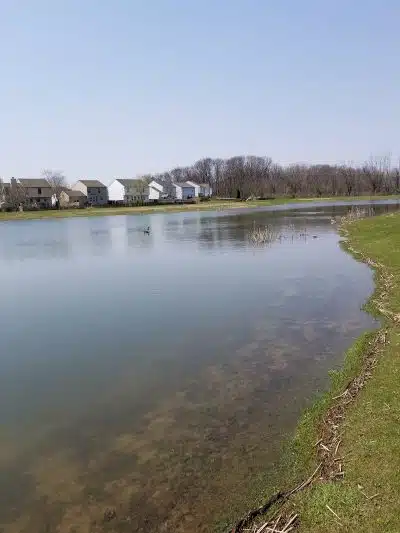 Winchester Meadows Park - Canal Winchester, OH