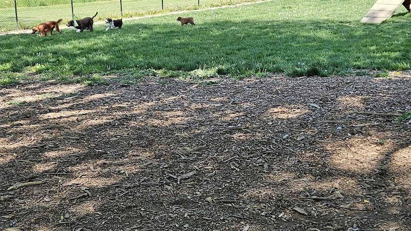 Ariss Park Dog Run - Canton, OH