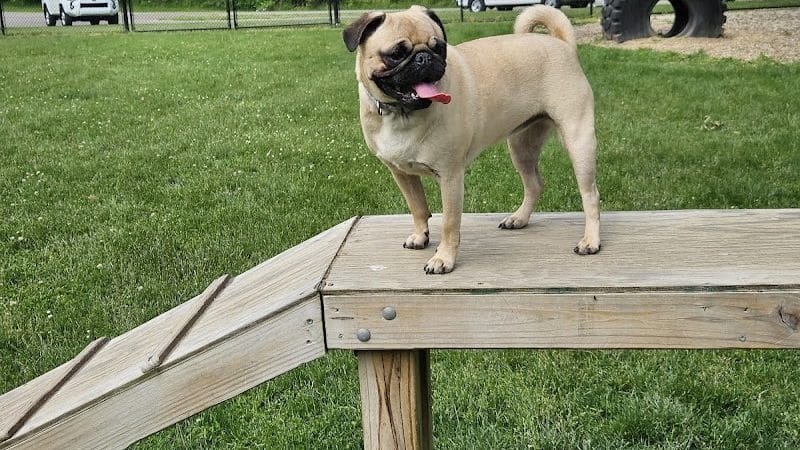 Ariss Park Dog Run - Canton, OH