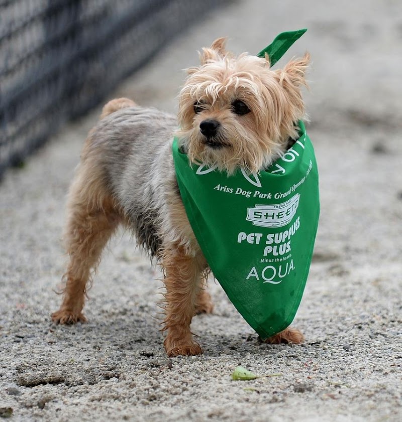 Ariss Park Dog Run - Canton, OH