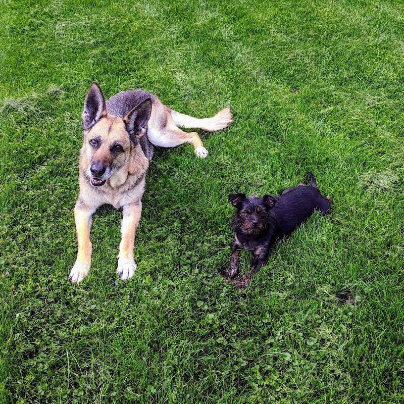 Ariss Park Dog Run - Canton, OH