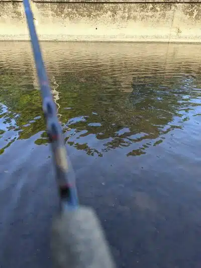 Cook Park - Canton, OH