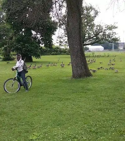 Cook Park - Canton, OH