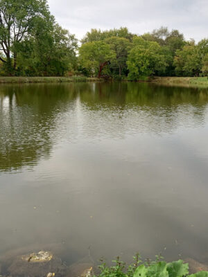 Cook's Lagoon Park