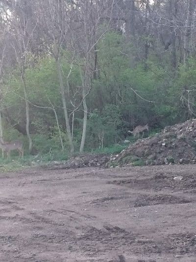 Covered Bridge Park - Canton, OH