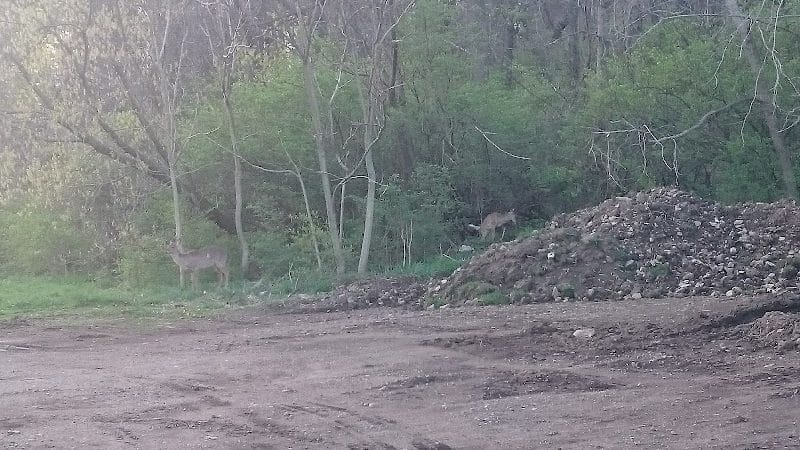 Covered Bridge Park - Canton, OH
