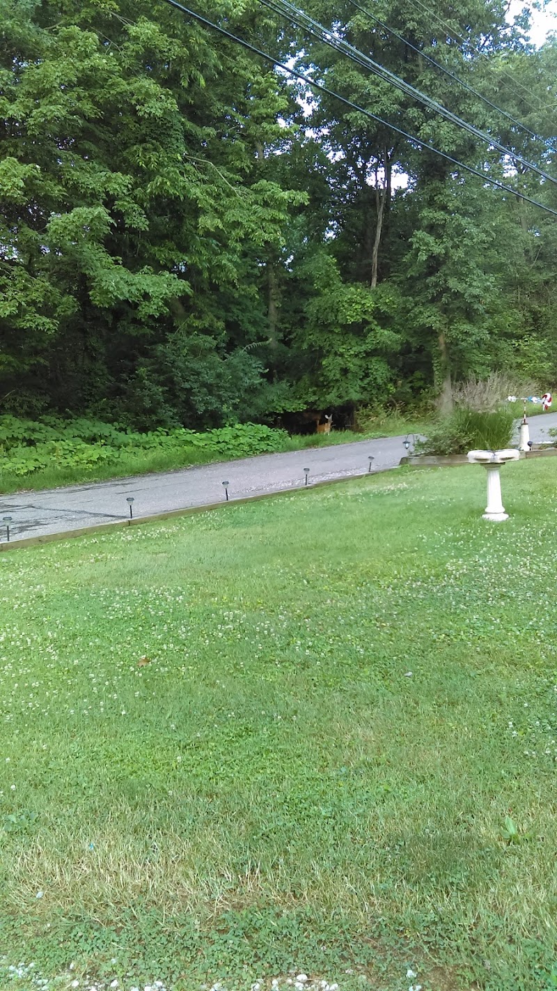 Covered Bridge Park - Canton, OH