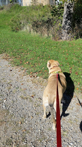 Covered Bridge Park