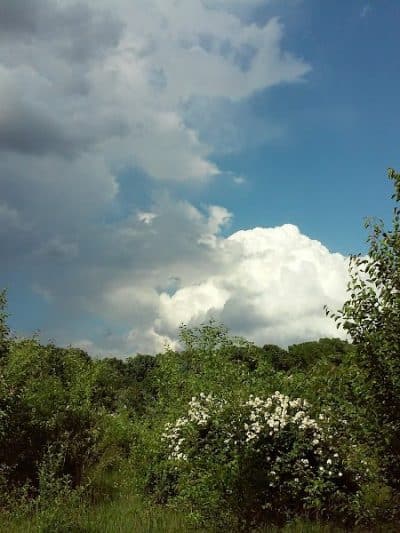 Devonshire Park - Canton, OH