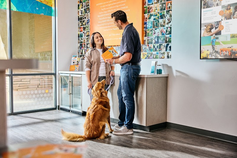 Dogtopia of Belden-Canton - Canton, OH
