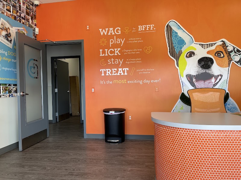 Dogtopia of Belden-Canton - Canton, OH