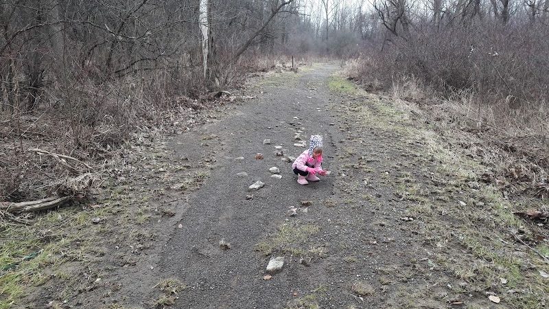 Fairhope Nature Preserve - Canton, OH