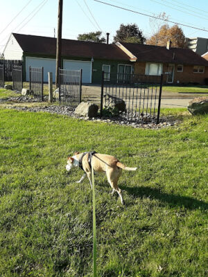 Garaux Park