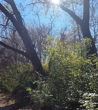 Ink Park - Canton, OH
