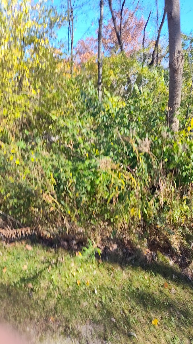 Ink Park - Canton, OH