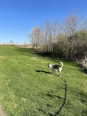 Plain Township Veterans Park