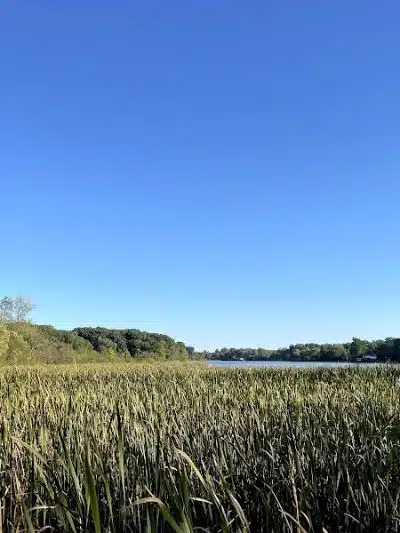 Sippo Lake Park-East - Canton, OH