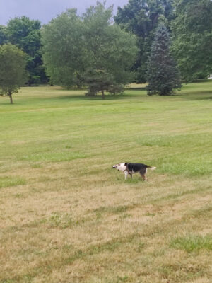 Spiker Park