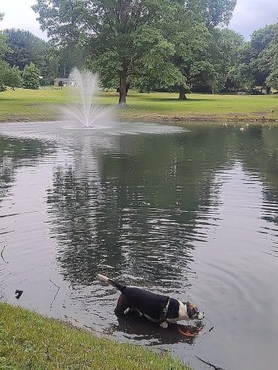 Spiker Park - Canton, OH